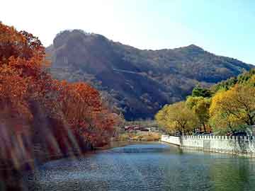 宠物医院朱医生,宠物医院 朱医生 跳槽